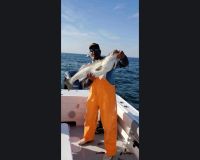 615765285 122093137821232764 n