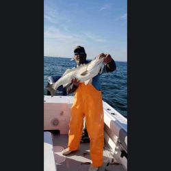 615765285 122093137821232764 n