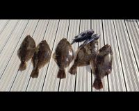 615776174 122093137839232764 n