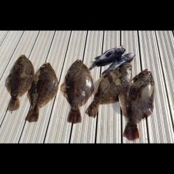 615776174 122093137839232764 n