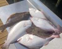 615837696 122093137977232764 n