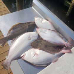 615837696 122093137977232764 n