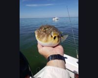 616620697 122093137851232764 n