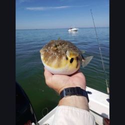 616620697 122093137851232764 n