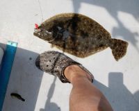 616827076 122093137929232764 n