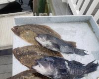 617105531 122093136465232764 n