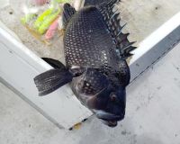 617109053 122093136969232764 n