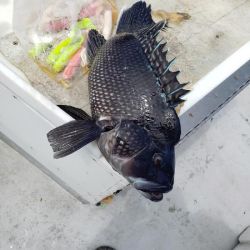 617109053 122093136969232764 n