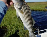 617507534 122093136609232764 n