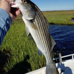 617507534 122093136609232764 n