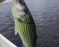 617764038 122093136789232764 n