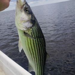 617764038 122093136789232764 n