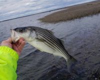 617786557 122093137035232764 n