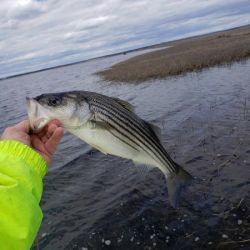 617786557 122093137035232764 n