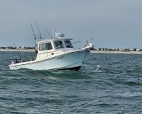 618118816 122093136939232764 n