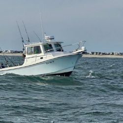 618118816 122093136939232764 n