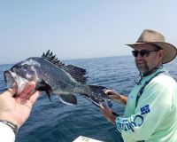 619205911 122093136717232764 n